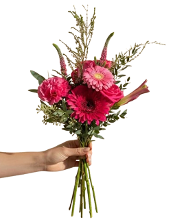 pink red gerbera daisy bouquet, hand-tied, Brossard florist
