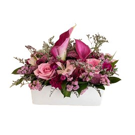 magenta calla lily arrangement, white vase, Brossard florist