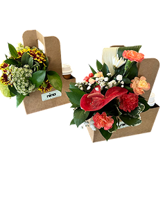 burgundy anthurium caddy bouquet, Brossard florist
