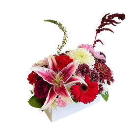 Arrangement 09