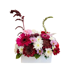 burgundy white mum arrangement, white vase, Brossard florist